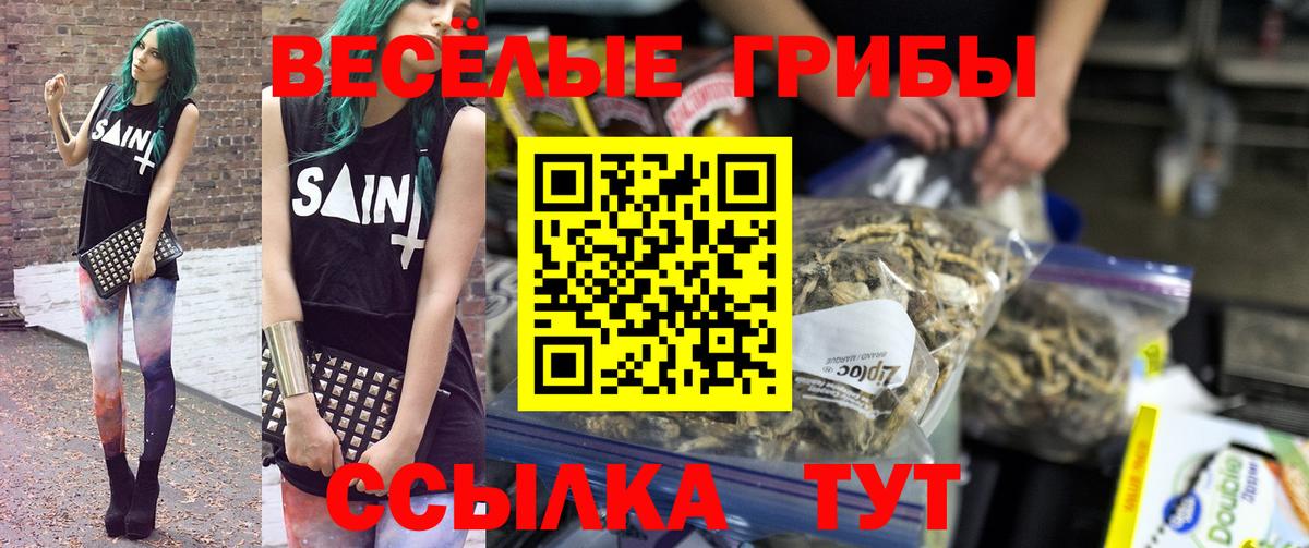 Галлюциногенные грибы мицелий  Владикавказ 