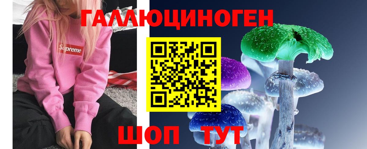 Владикавказ  Псилоцибиновые грибы прущие грибы  Галлюциногенные грибы мицелий  Вход с VPN 