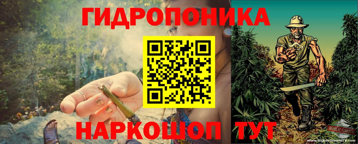 Каннабис OG Kush Владикавказ